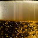 맥주양소주군 이미지