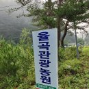 자작나무관광농원