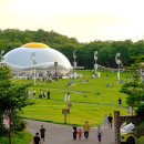 대구 치맥 페스티벌 2026 일정 라인업｜안 가면 손해 보는 4대 핫스팟 총정리