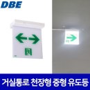 동방전자 이미지