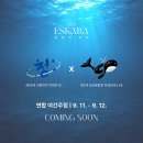 애플B유치원 | 뜨거운 여름밤은 가고 남은 건...