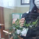 경상중학교 이미지