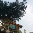 봉림평생교육센터 네이버블로그