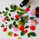 고마운약국 이미지