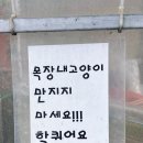 전원목장 | 경북 칠곡 양떼목장 아이와 가볼 만한 곳│깡통열차·건초 먹이 체험 후기