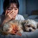 퓨리나동물병원 | 퓨리나 포티플로라만 고집하는 동물병원 원장님, 90%가 모르는 '이것' 때문입니다