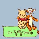 심방이천 | 부정맥 심방세동 냉각풍선절제술 시술2개월 후기 분당서울대병원 오일영교수