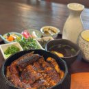 청사약국 | 대전 장어덮밥 맛집 정부청사 근처 월평동 우나기칸 후기 주차