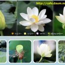 연님농장 이미지