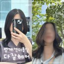 범계미용실 다잘헤어 임산부 중단발 레이어드펌 후기 / CS펌 드라이 방법