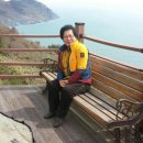 신안자동차 이미지