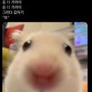 여행중독