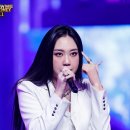 도도 Grooming 이미지