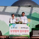 보성녹차돼지 이미지