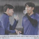 에이스스포츠 이미지