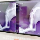 광교산동물병원 이미지