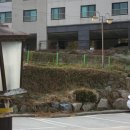 카페베네태종대점 | 동삼동커피 항구뷰가 너무 이뻤던 태종대카페 카페베네 태종대점