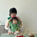 아기애견 이미지