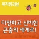 곤충생태관_2 이미지