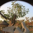 마당목장 이미지