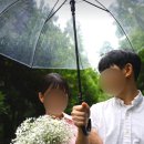 리안블라썸 네이버블로그