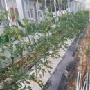 이연우농장 이미지