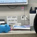 531 | 청주공항 다낭 야간비행 후기 ✈️ 에어로케이 RF531 솔직 리뷰 (좌석·꿀팁 총정리)