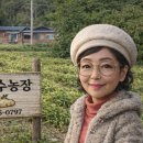 병길농장 네이버블로그