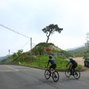 접도편의점 이미지