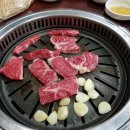 한우홀릭 이미지
