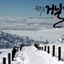 캘리그라피 이미지