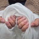 블링펫 | 천안네일 두정동네일 천안웨딩네일 네일 주블링네일