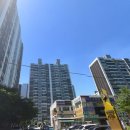 하단동1003 이미지