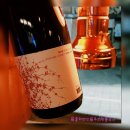 바인스타 이미지