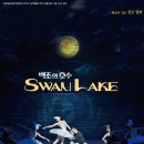 서울시티발레단 백조의 호수 이미지