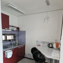 베일리애견풀빌라펜션 | 가성비 좋은 힐링 숙소에서 반려견과 함께한 가평애견펜션 베일리 애견풀빌라 후기