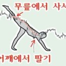 대한광통신(주) 네이버블로그