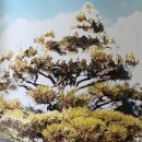 금송농장2 이미지