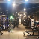 LEO GYM 이미지
