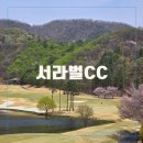 서라벌cc 라운딩 후기 코스 그늘집