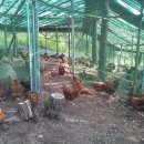 수만농장 이미지