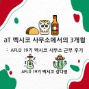 [# 강다영 멕시코 개척단 현장보고] aT 멕시코 사무소에서의 3개월 : AFLO 19기 멕시코 사무소 근무 후기