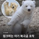 노라줘 | 거꾸로쓰는 블로그