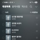 담안천 Daum카페