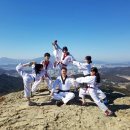 태풍 태권도장 이미지