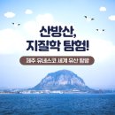 제주야컴퍼니
