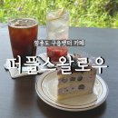 퍼플 스왈로우 이미지