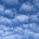 수빈패션 | 망원동 미용실, 탈색없이 애쉬브라운? 수빈쌤은 할수있다던데(?) (ꔷ̥̑.̮ꔷ̥̑)