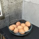 모텔 청호 이미지