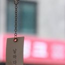 스위츠포레스트 이미지